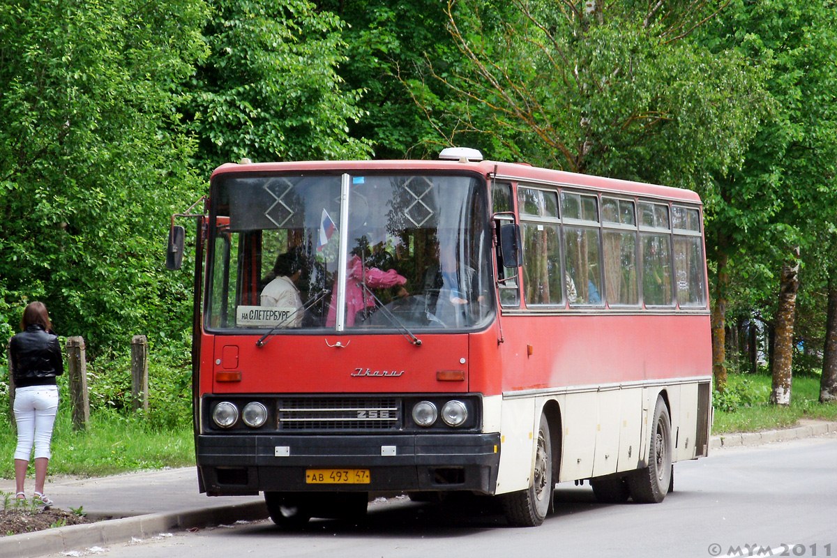 Ленинградская область, Ikarus 256.74 № АВ 493 47