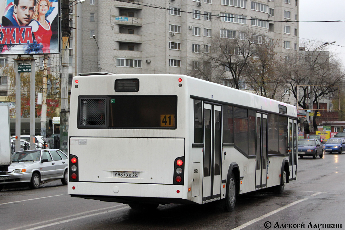 Воронежская область, МАЗ-103.469 № У 837 ХК 36