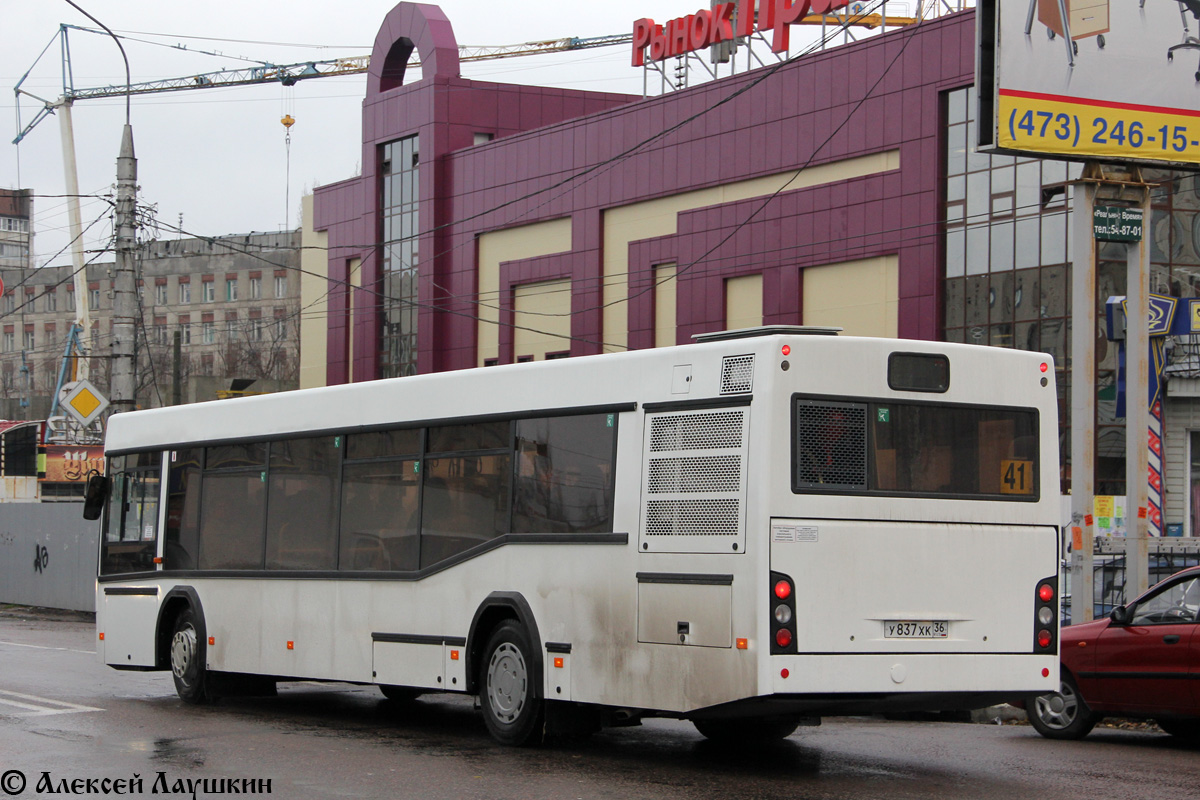 Воронежская область, МАЗ-103.469 № У 837 ХК 36