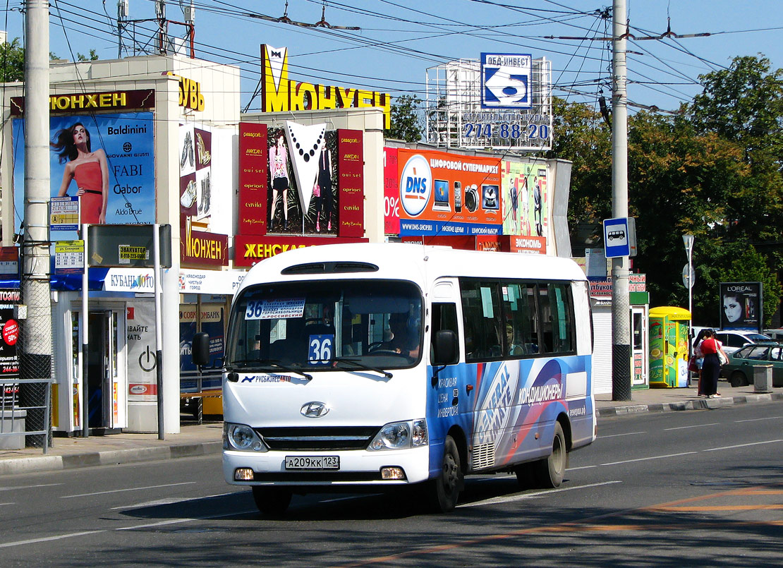 Краснодарский край, Hyundai County Kuzbass № А 209 КК 123