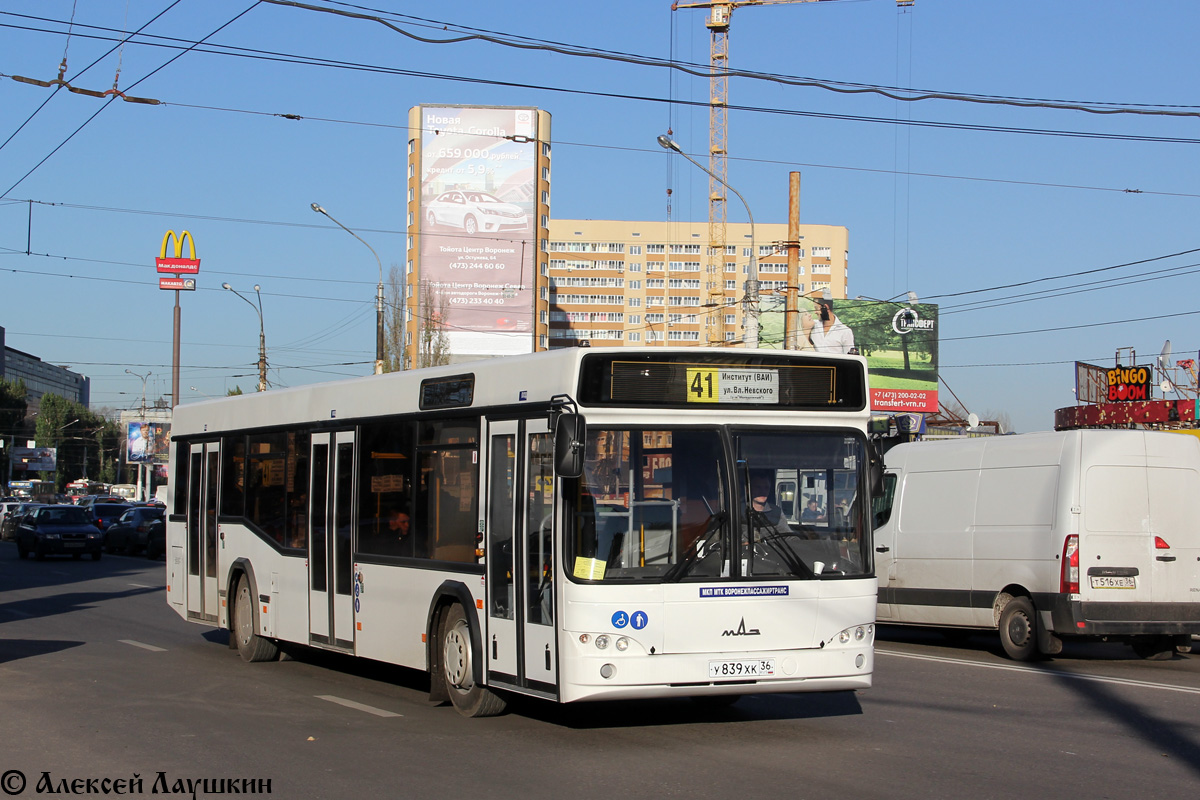 Воронежская область, МАЗ-103.469 № У 839 ХК 36