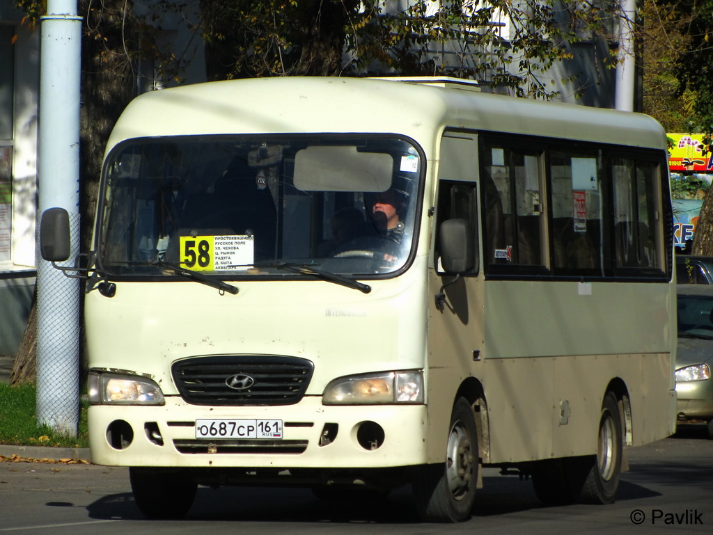 Ростовская область, Hyundai County SWB C08 (РЗГА) № 2