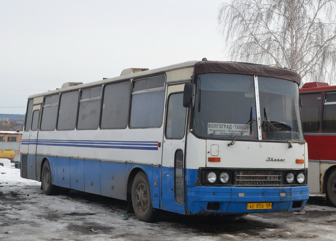 Тамбовская область, Ikarus 250.95 № АЕ 856 68