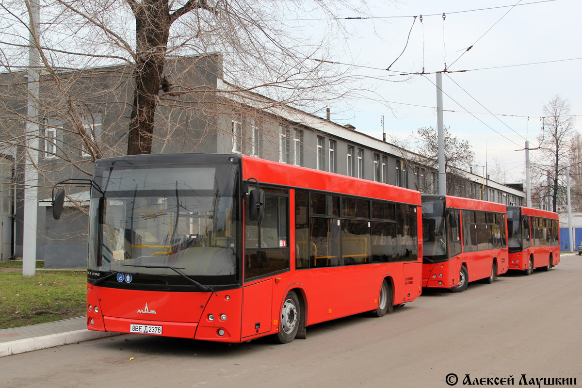 Воронежская область — Новые автобусы