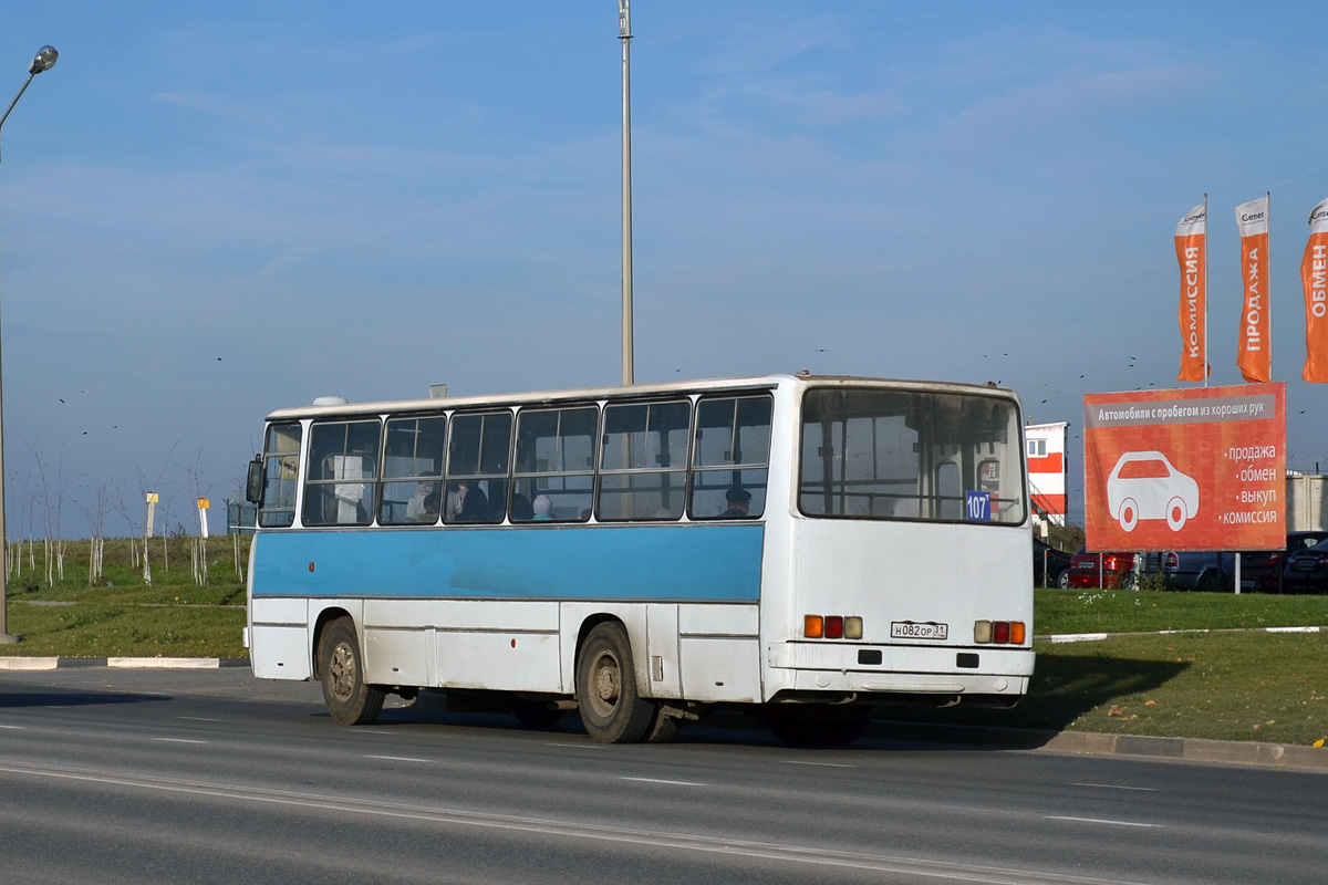 Белгородская область, Ikarus 260.51 № Н 082 ОР 31 — Фото — Автобусный  транспорт