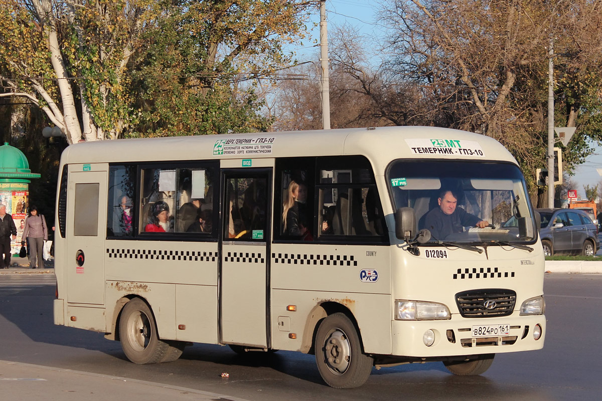 Ростовская область, Hyundai County SWB C08 (РЗГА) № 012094