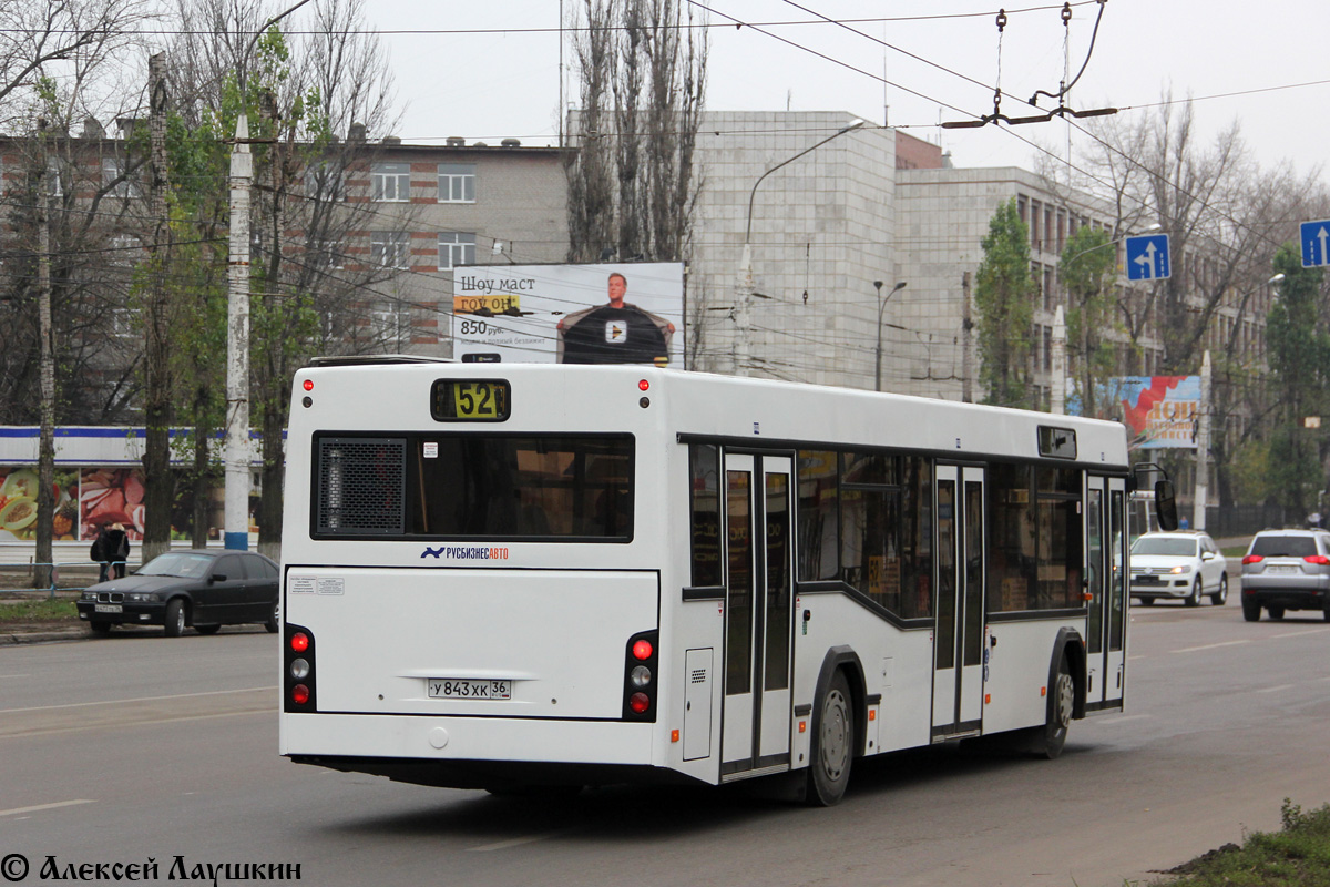 Воронежская область, МАЗ-103.469 № У 843 ХК 36