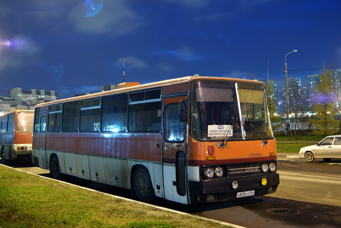 Ростовская область, Ikarus 250.59 № Х 828 СА 161