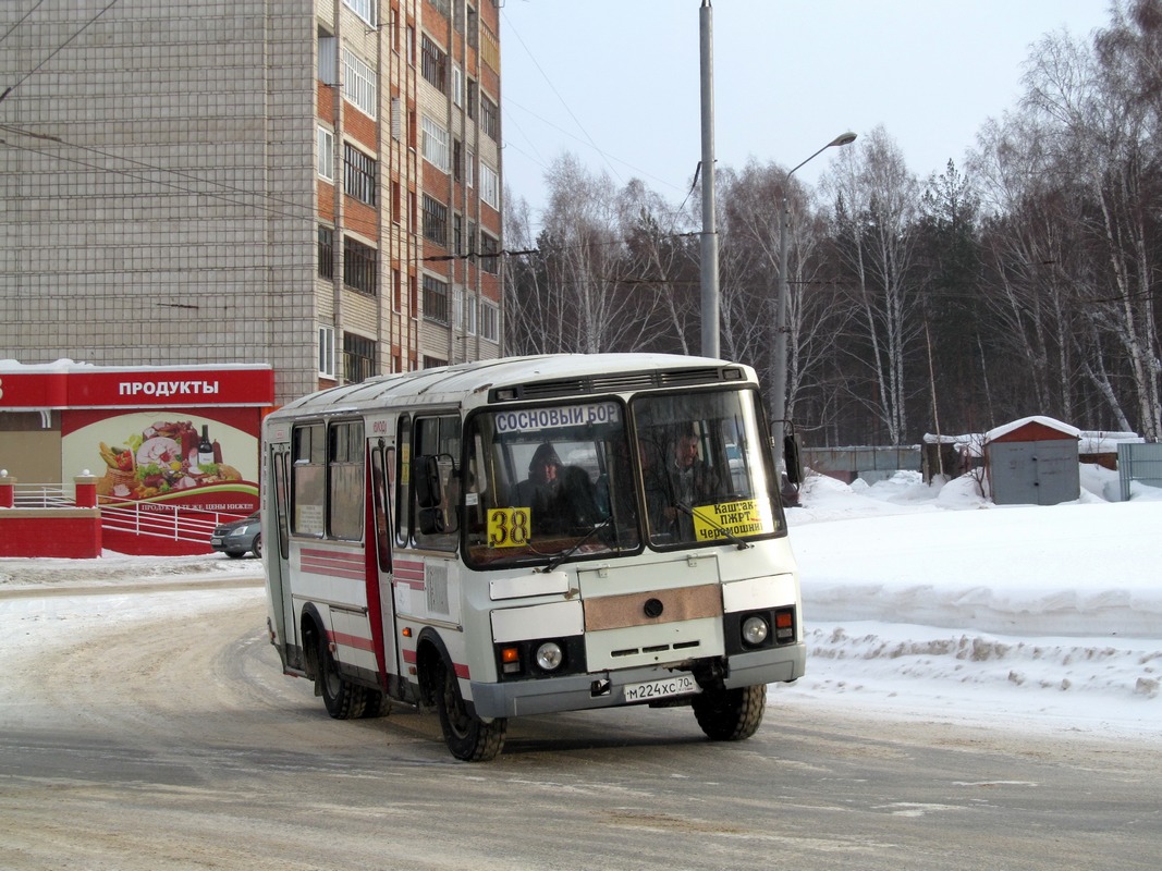 Томская область, ПАЗ-3205-110 № М 224 ХС 70