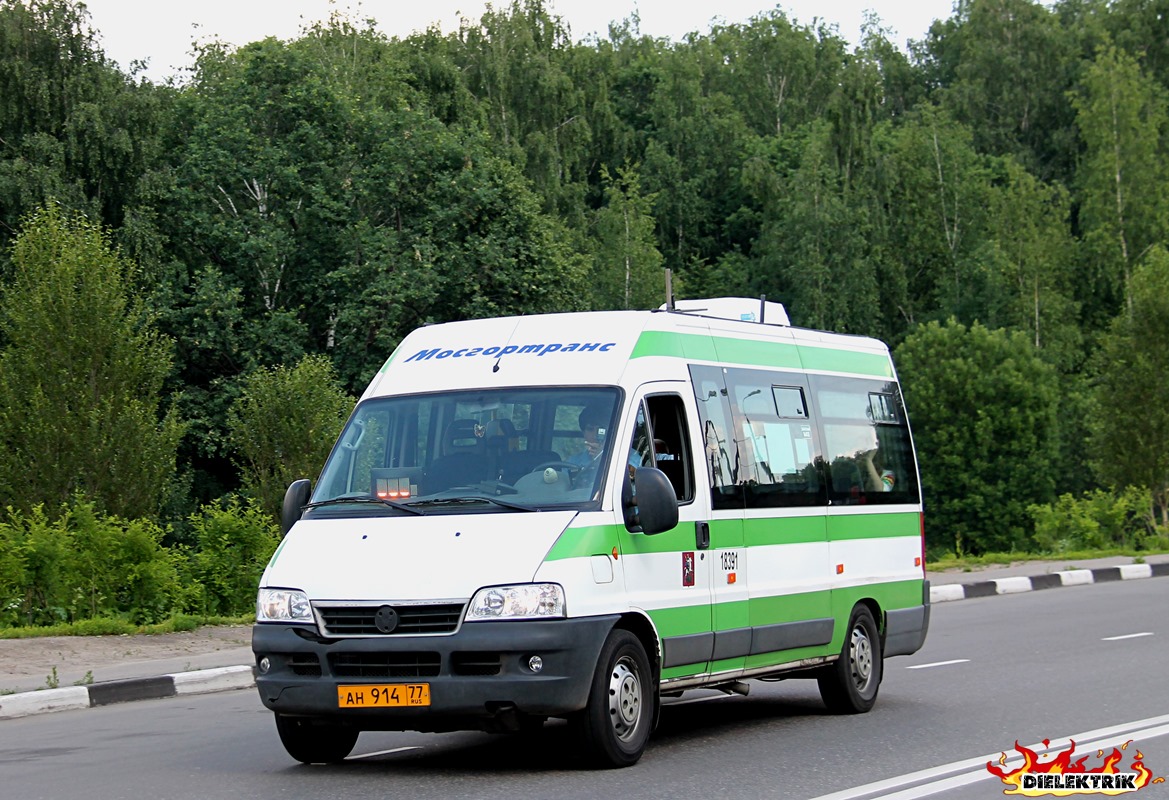 Москва, FIAT Ducato 244 CSMMC-RLL, -RTL № 18391