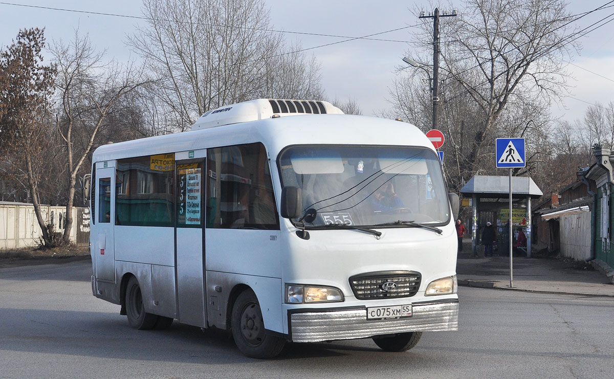 Омская область, Hyundai County SWB (ТагАЗ) № С 075 ХМ 55