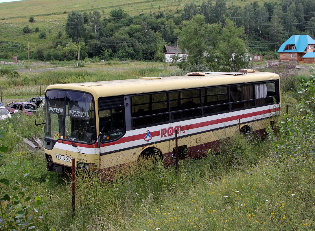 Алтайский край — Автобусы без номеров