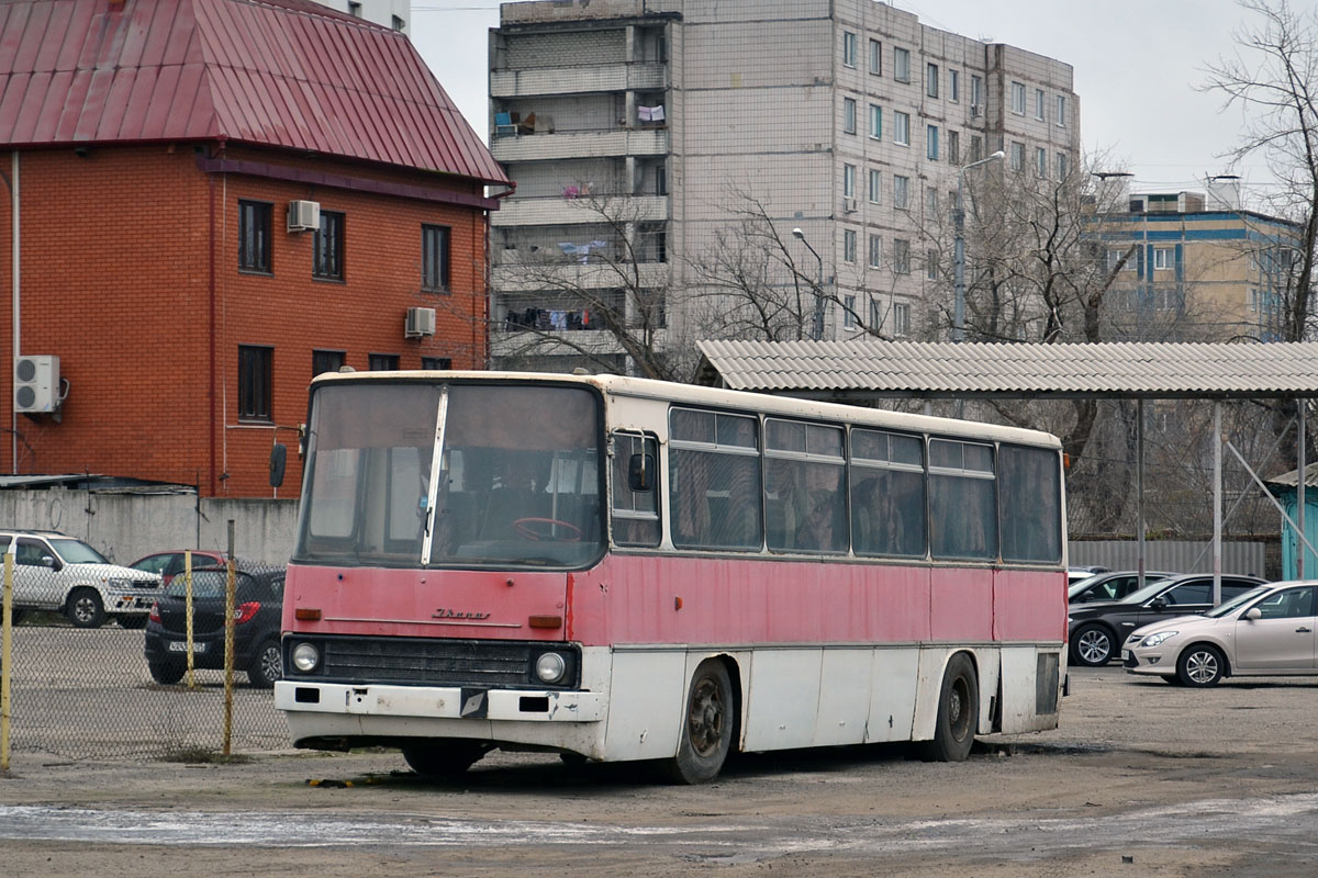 Белгородская область — Автобусы без номеров