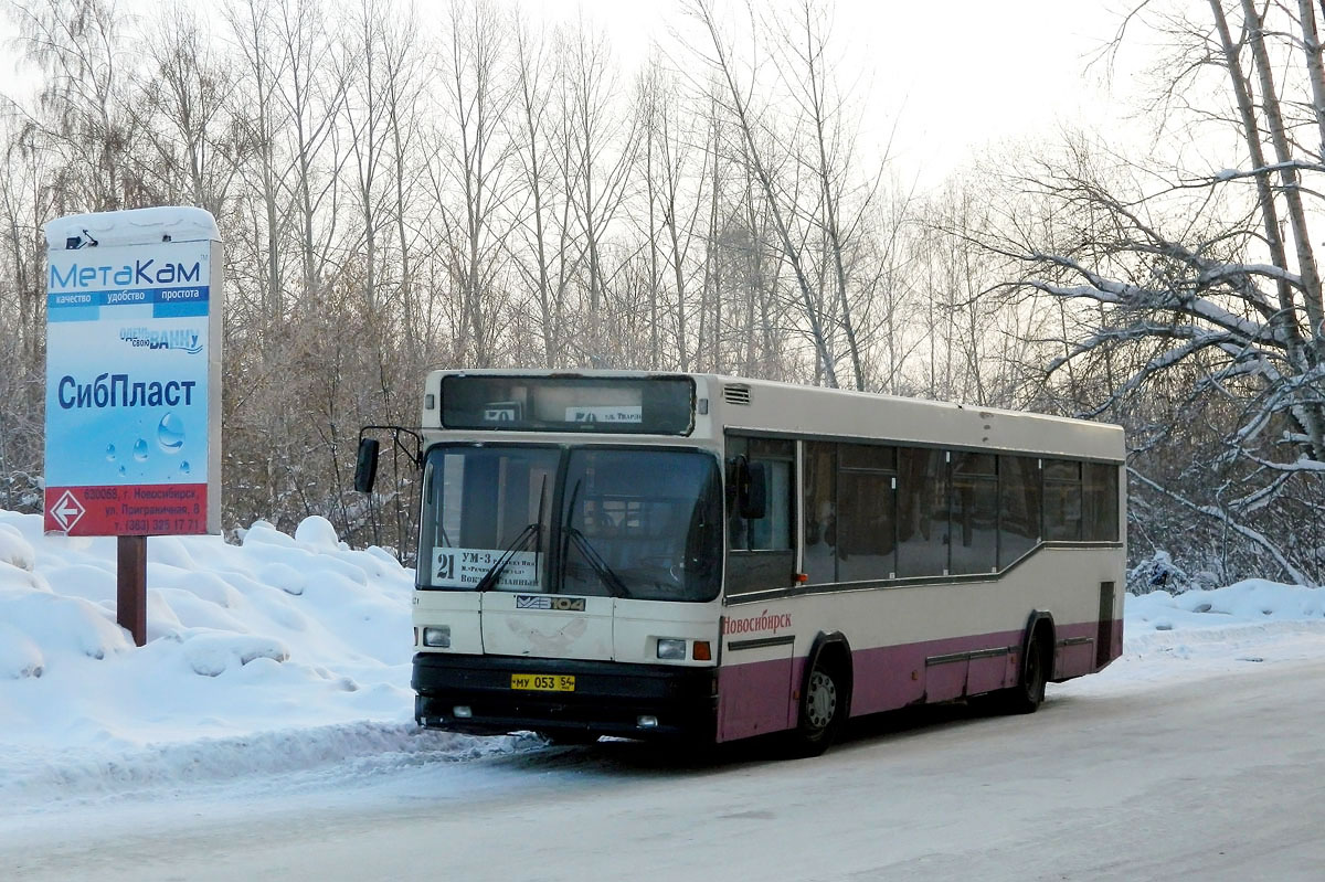 Новосибирская область, МАЗ-104.021 № 4101