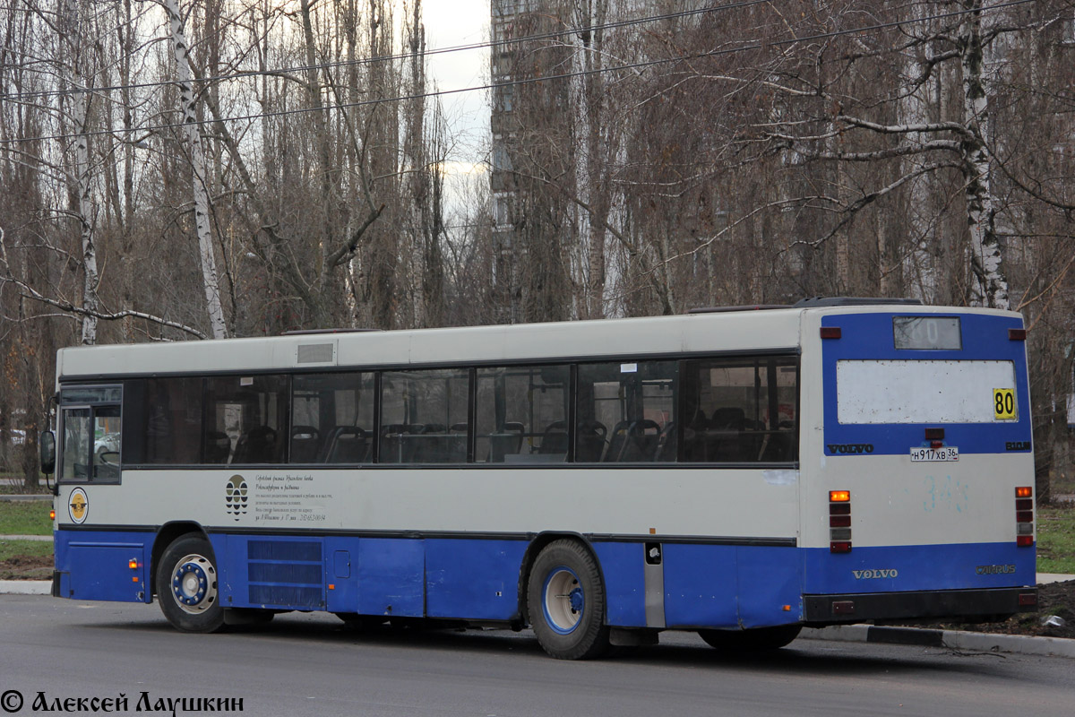 Воронежская область, Carrus K204 City № Н 917 ХВ 36