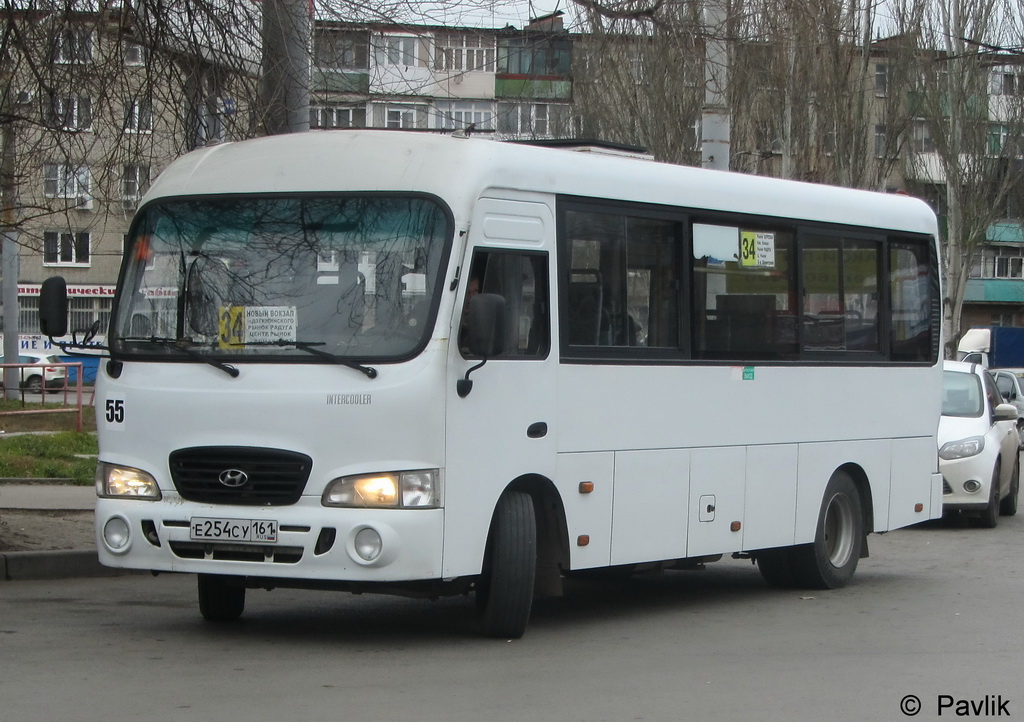 Ростовская область, Hyundai County LWB C09 (ТагАЗ) № 55