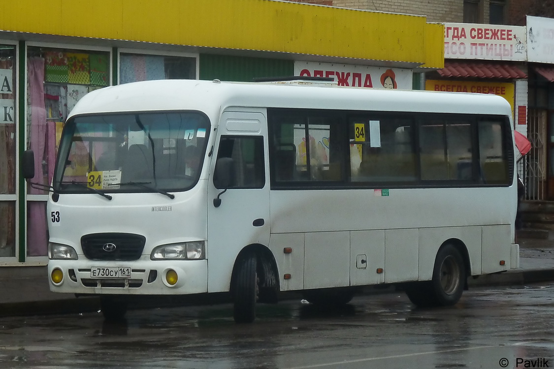 Ростовская область, Hyundai County LWB C09 (ТагАЗ) № 53