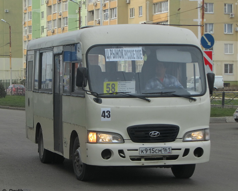 Ростовская область, Hyundai County SWB C08 (РЗГА) № 43