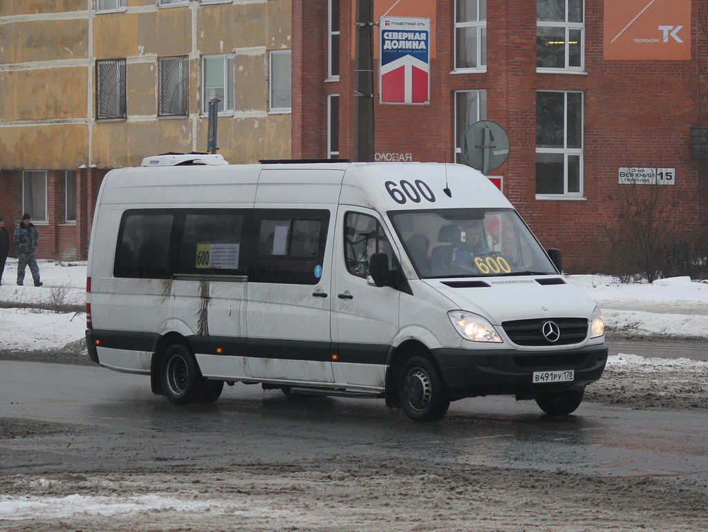 Санкт-Петербург, Луидор-22360C (MB Sprinter) № В 491 РУ 178