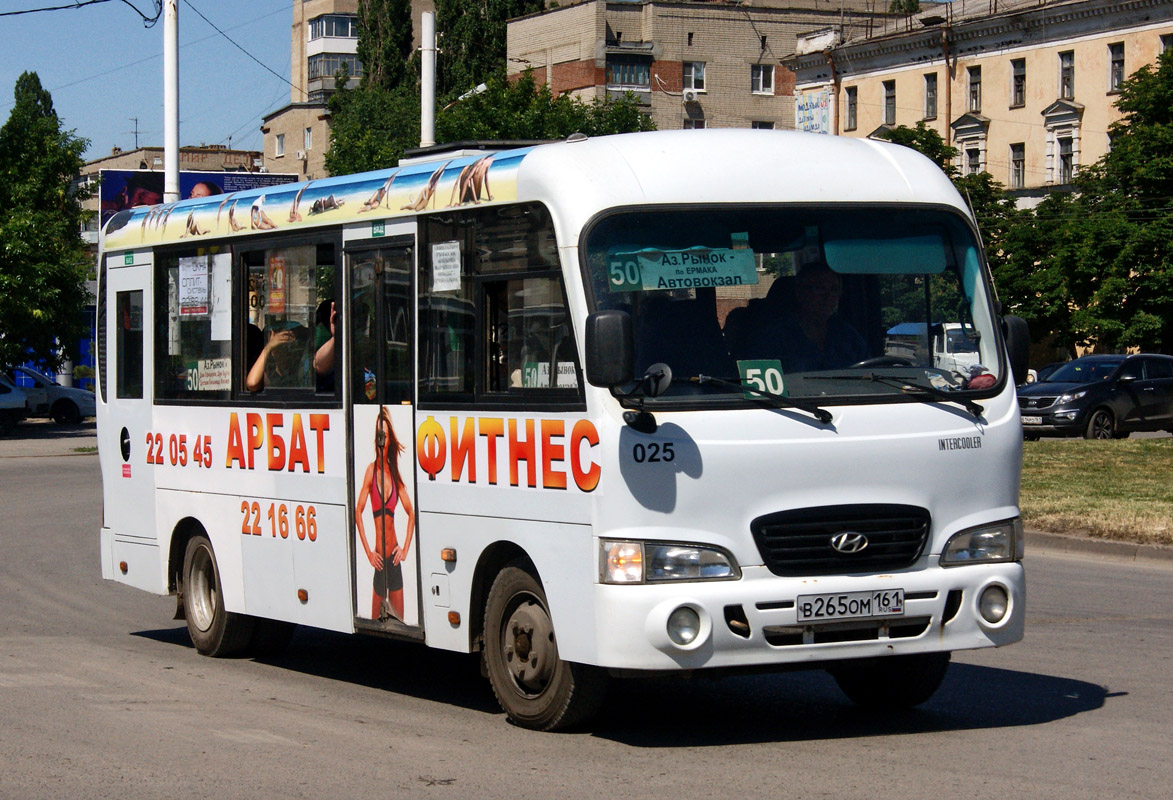 Ростовская область, Hyundai County LWB C11 (ТагАЗ) № 025