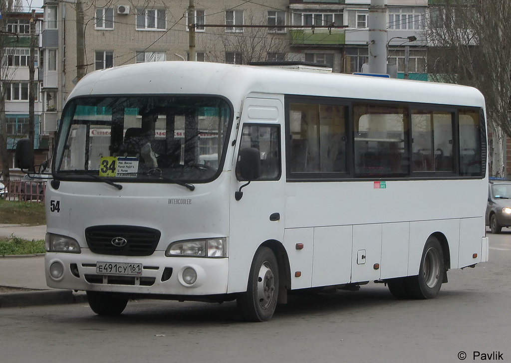 Ростовская область, Hyundai County LWB C09 (ТагАЗ) № 54