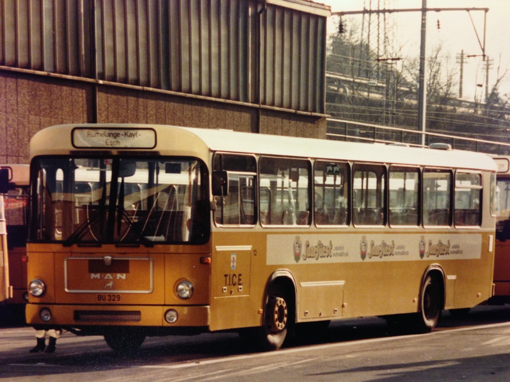 Luksemburg, MAN 789 SÜ240 Nr 12