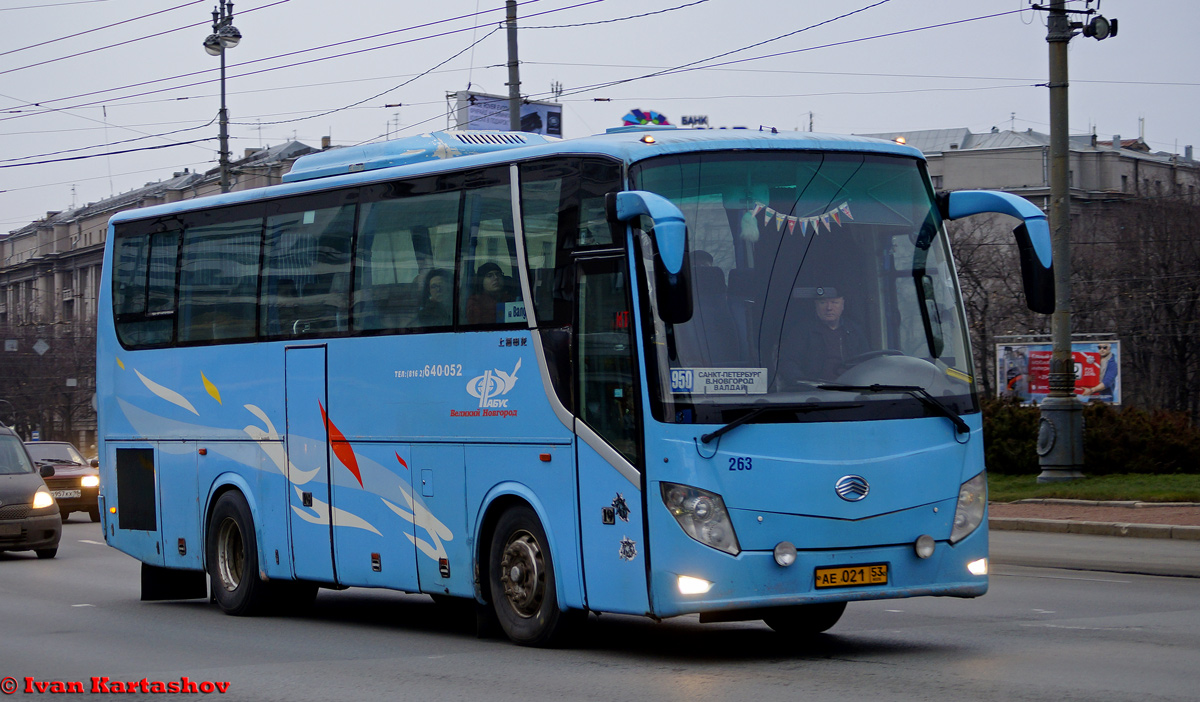Новгородская область, Sunlong SLK6108F1A № 263