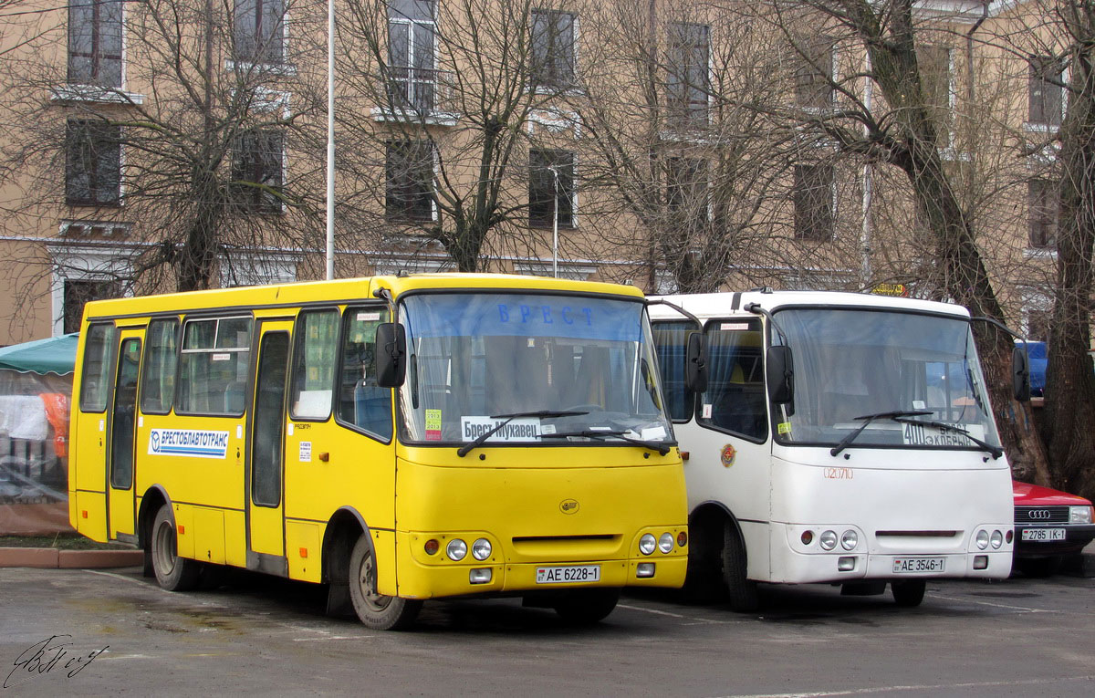 Брэсцкая вобласць, ГАРЗ А09202 "Радимич" № 575