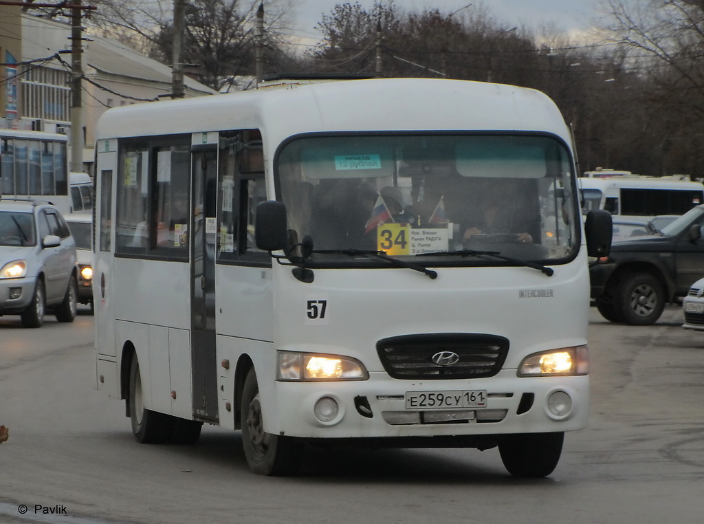 Ростовская область, Hyundai County LWB C09 (ТагАЗ) № 57