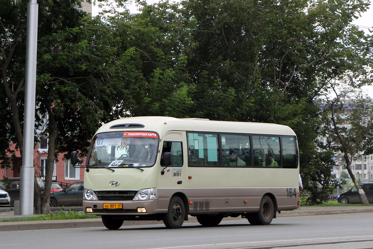 Кемеровская область - Кузбасс, Hyundai County Kuzbass № 164