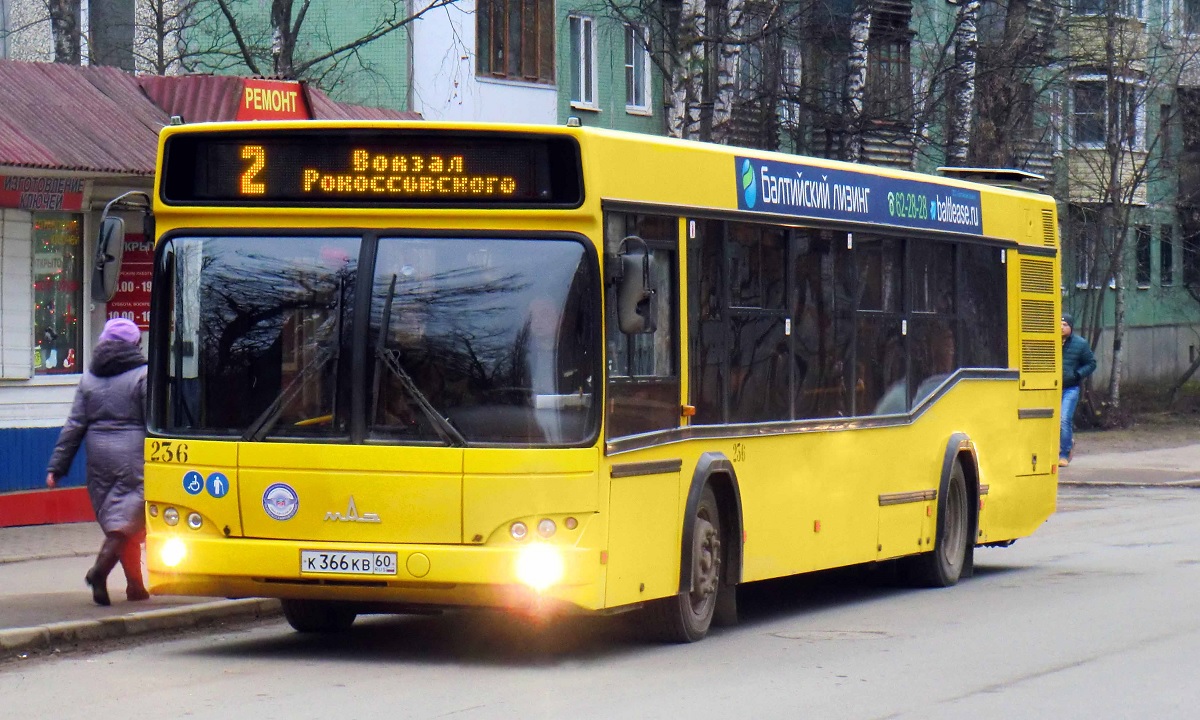 Пскоўская вобласць, МАЗ-103.465 № 236