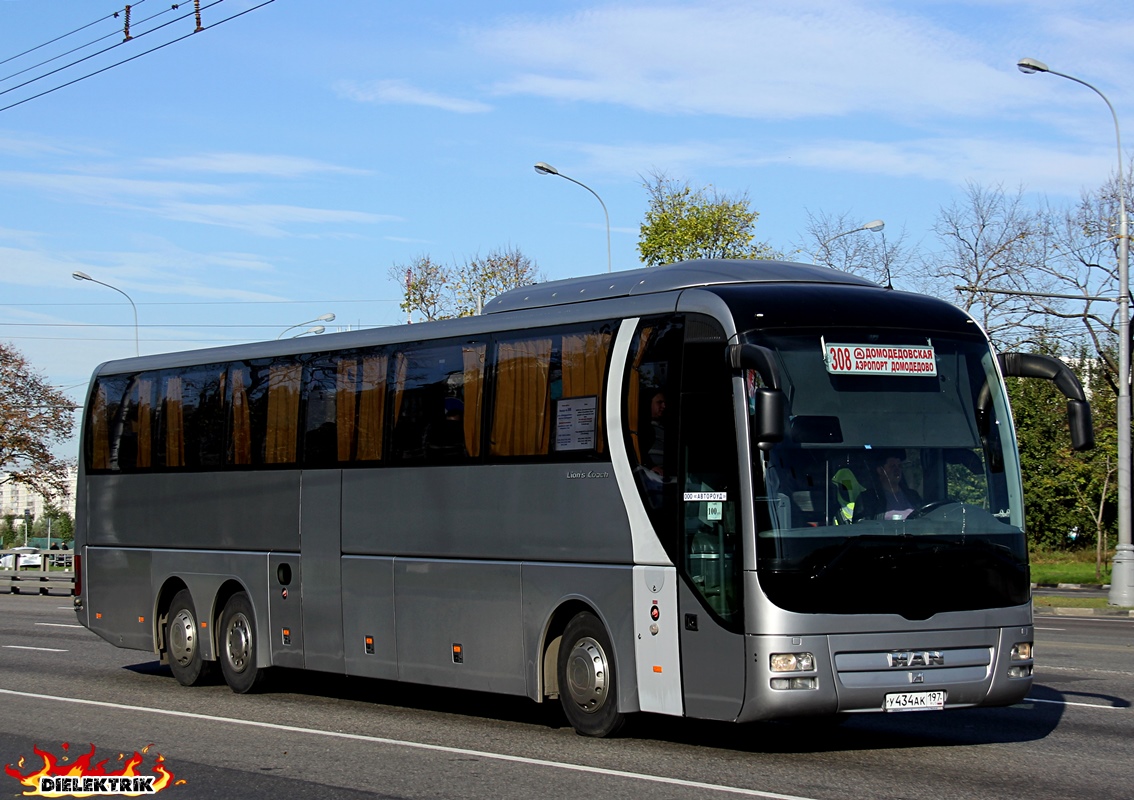 Остановки 308 автобуса. Man r08 Lion's Top coach rhc444. Man r08 Lion's coach rhc444 логотип. Дальний автобус ман r08 Lion's. Автобус 308.