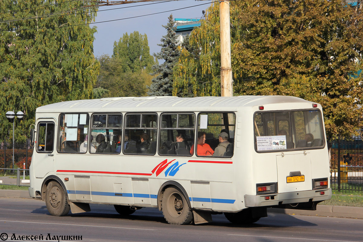 Воронежская область, ПАЗ-4234 № ВВ 592 36