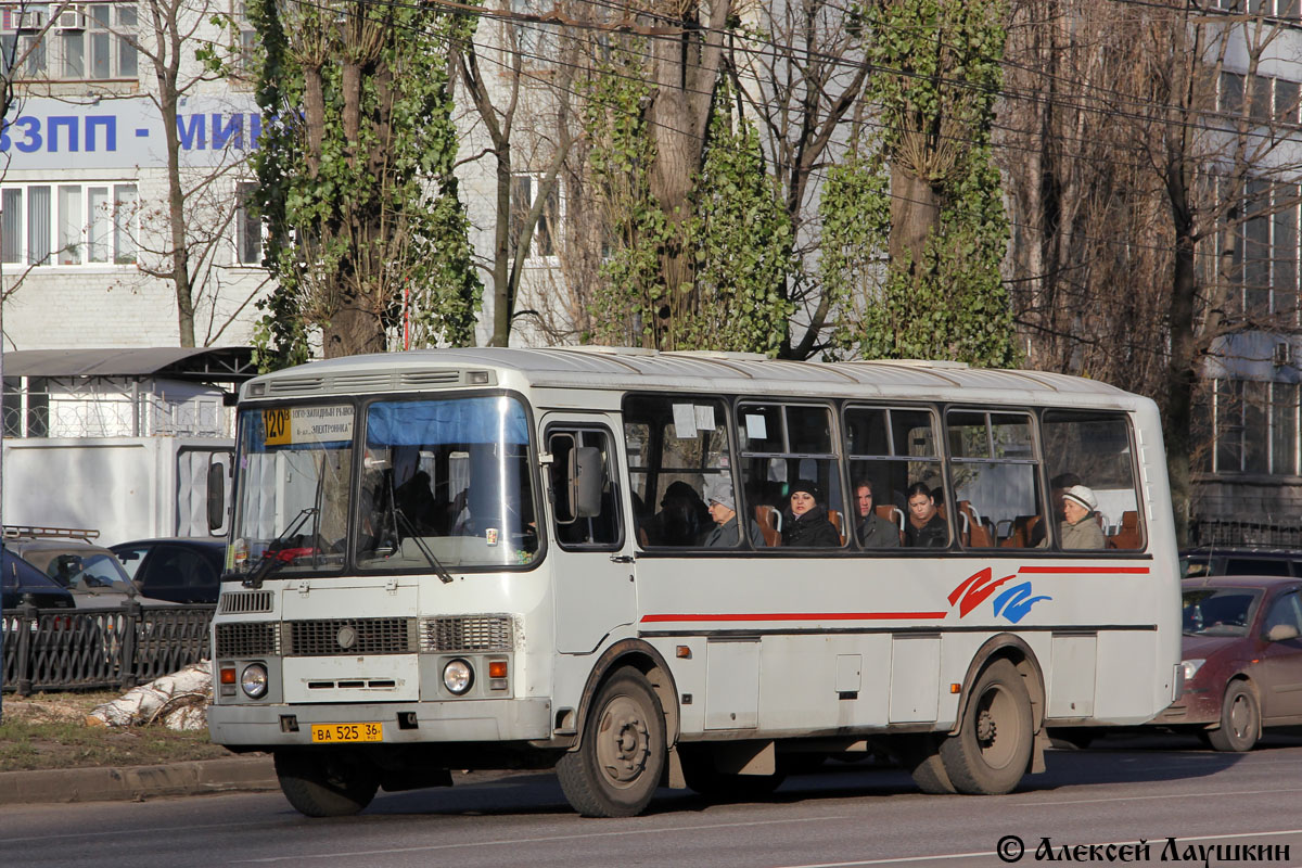 Воронежская область, ПАЗ-4234 № ВА 525 36