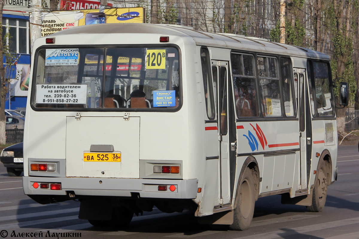 Воронежская область, ПАЗ-4234 № ВА 525 36