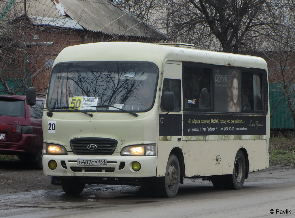 Ростовская область, Hyundai County SWB C08 (РЗГА) № 20