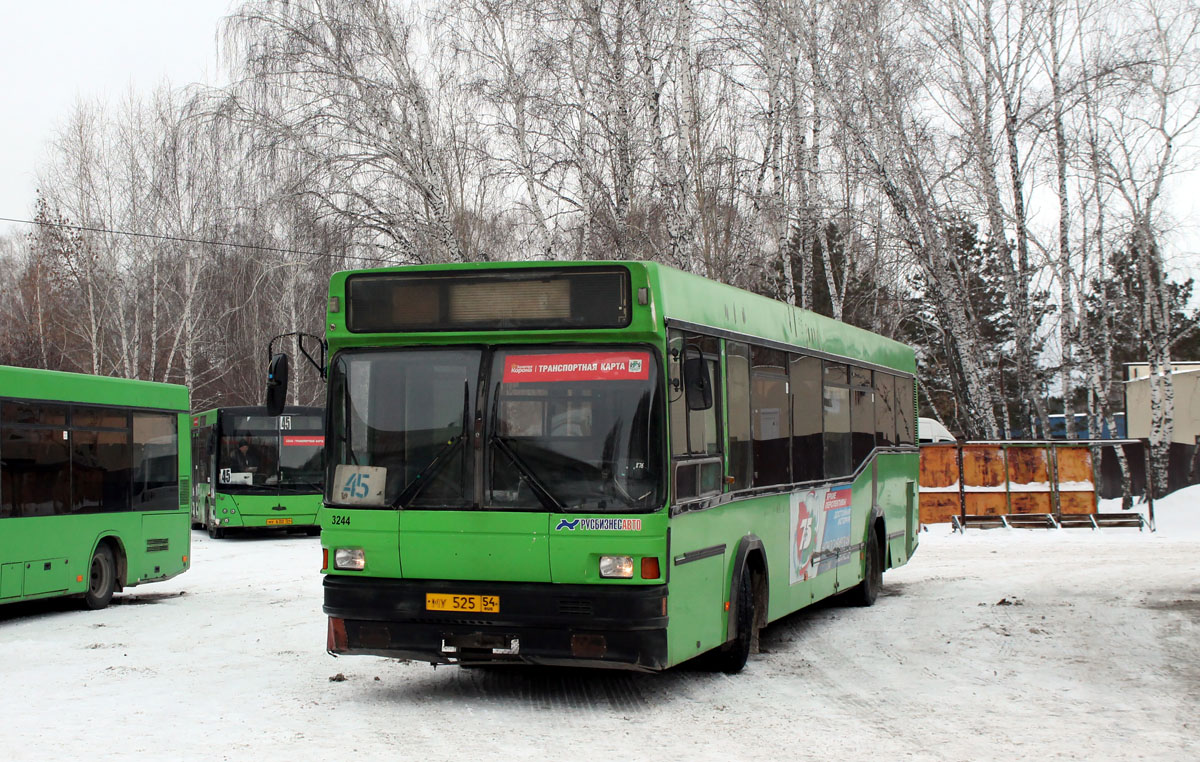 Новосибирская область, МАЗ-104.021 № 3244