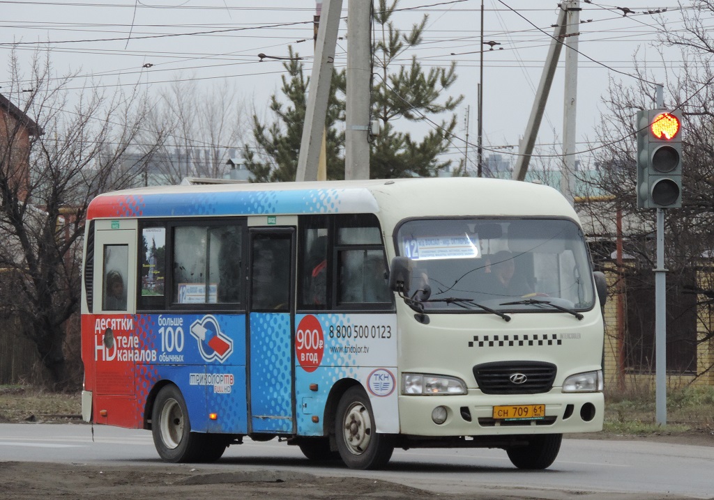 Ростовская область, Hyundai County SWB C08 (РЗГА) № СН 709 61