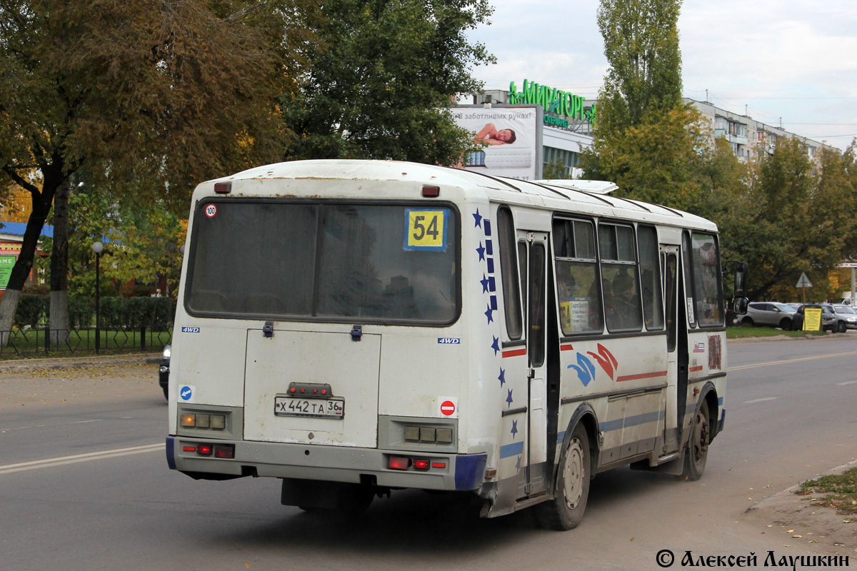 Воронежская область, ПАЗ-4234 № Х 442 ТА 36