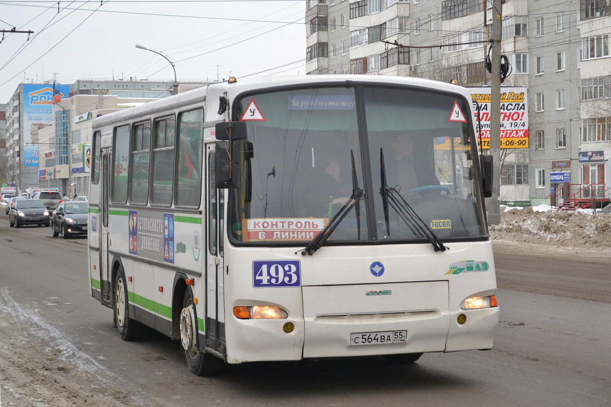 Омская область, ПАЗ-4230-03 № 493