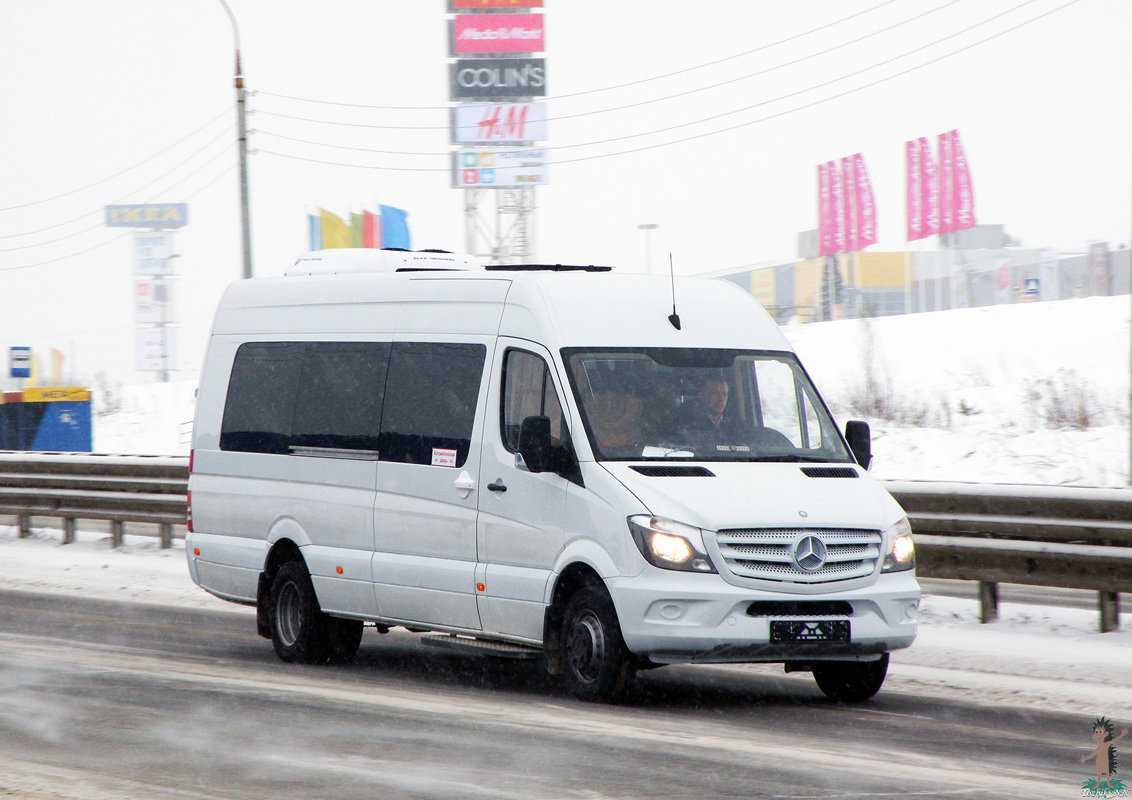 Нижегородская область — Новые автобусы