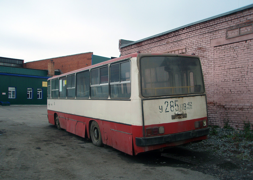 Кемеровская область - Кузбасс, Ikarus 260.02 № 101