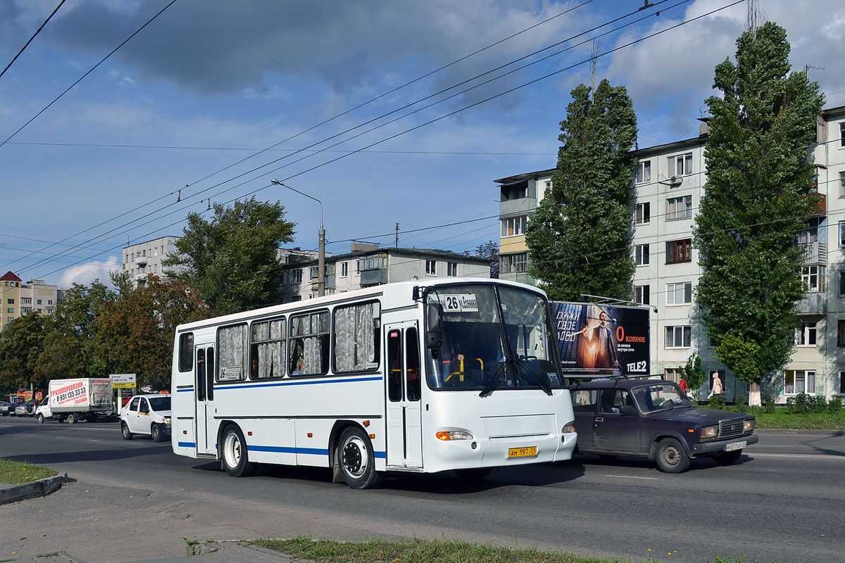 Белгородская область, ПАЗ-4230-03 № АМ 197 31