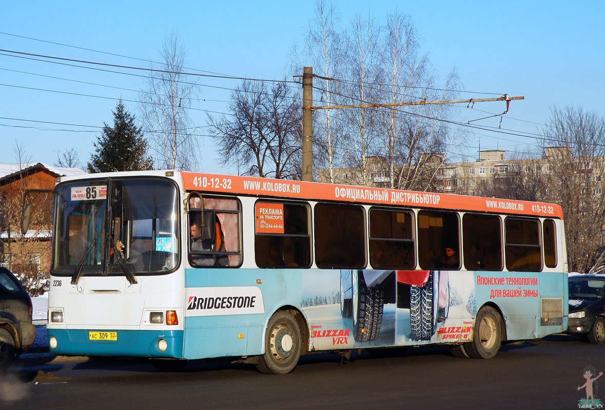 Нижегородская область, ЛиАЗ-5293.00 № 62236