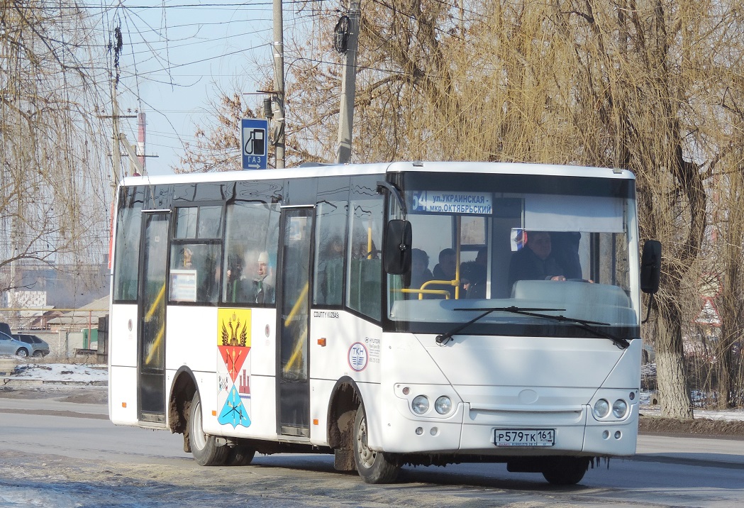 Ростовская область, Hyundai County Kuzbas HDU2 № 113