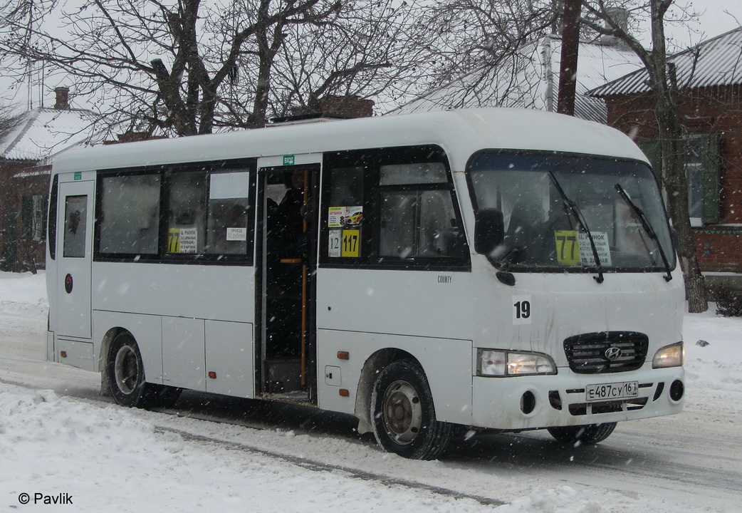 Ростовская область, Hyundai County LWB C09 (ТагАЗ) № 19