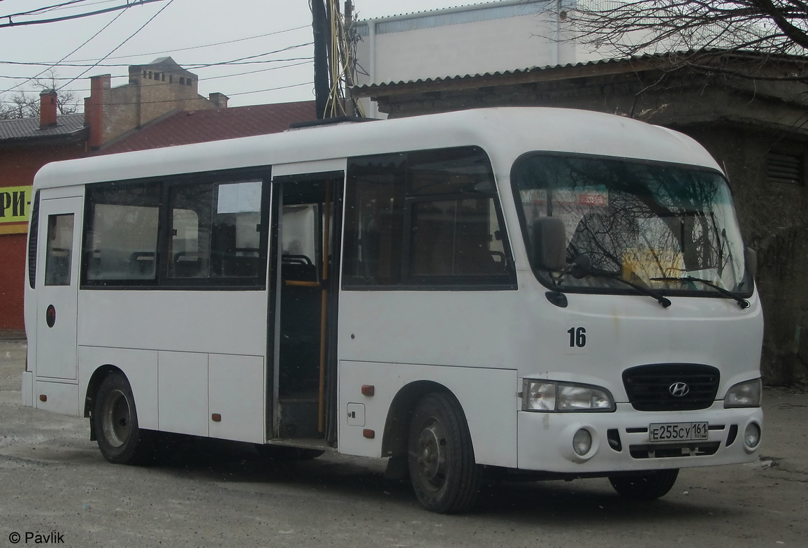 Ростовская область, Hyundai County LWB C09 (ТагАЗ) № 16