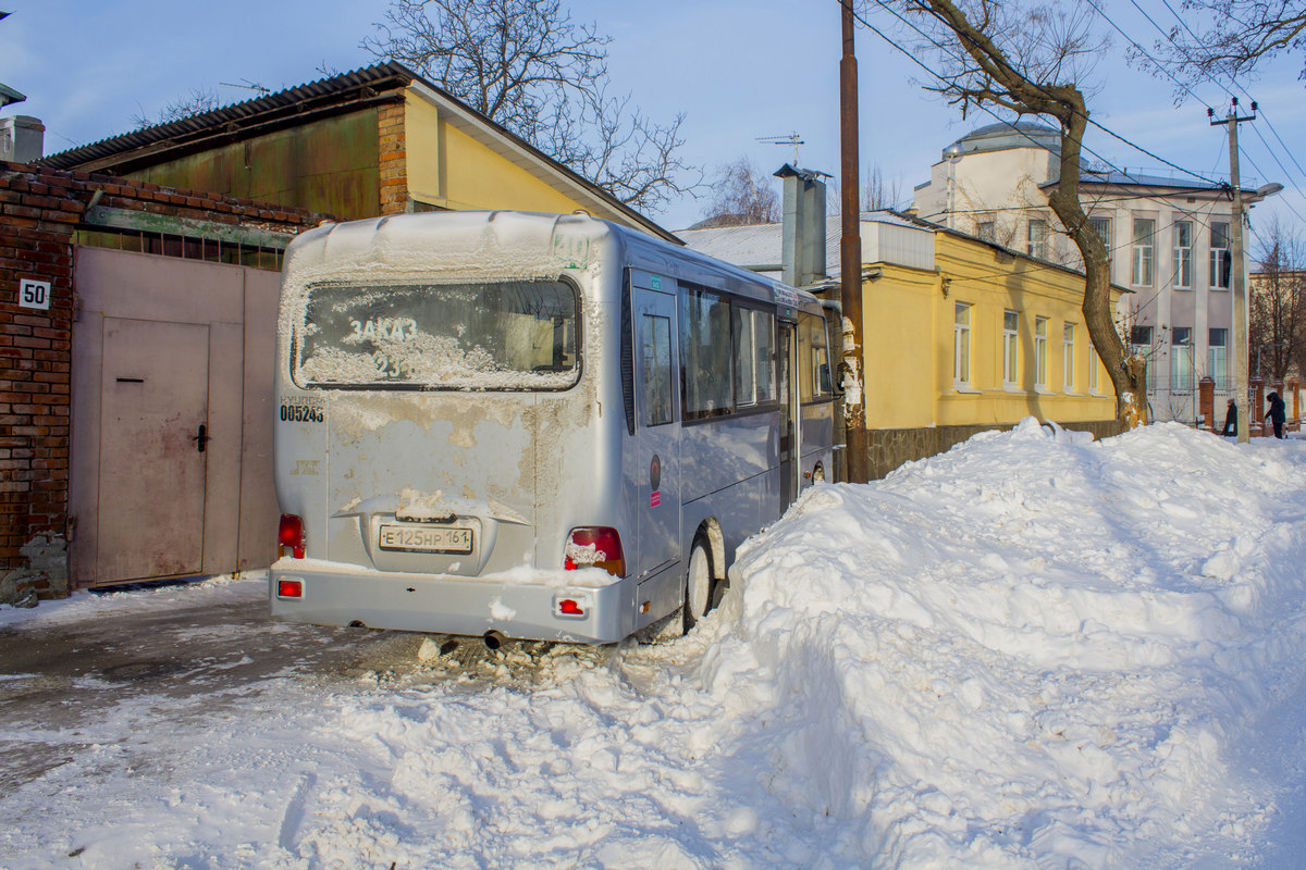 Ростовская область, Hyundai County LWB C09 (ТагАЗ) № 005243