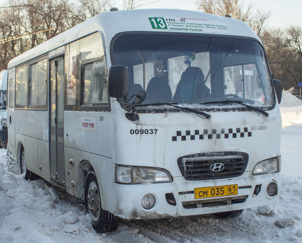 Ростовская область, Hyundai County LWB C11 (ТагАЗ) № 009037