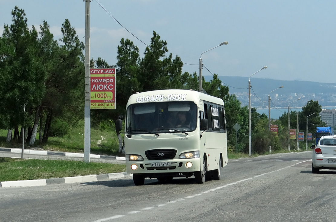 Краснодарский край, Hyundai County SWB C08 (РЗГА) № М 957 АУ 123